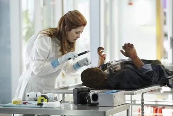 Body Of Proof : Fotoğraf Dana Delany