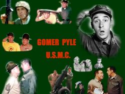 Gomer Pyle, U.S.M.C. : Afiş