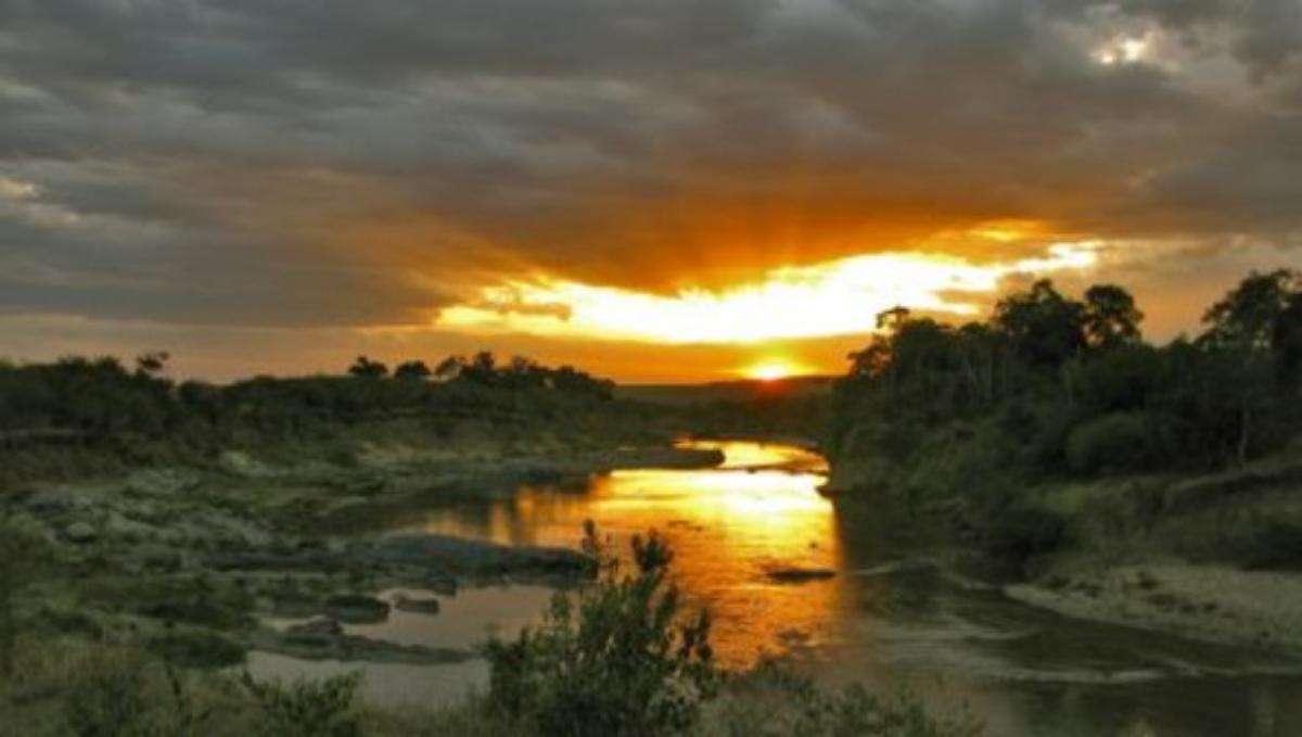 Serengeti : Fotoğraf