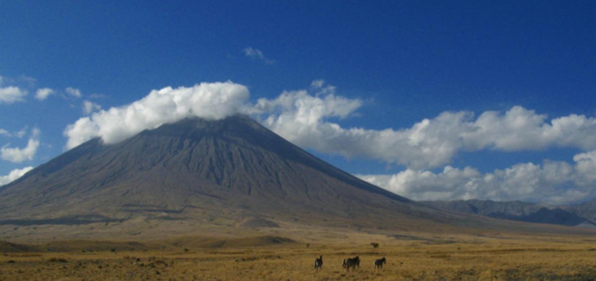 Serengeti : Fotoğraf