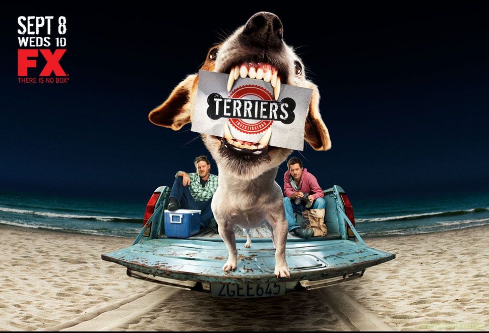 Terriers : Fotoğraf