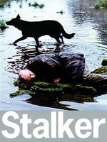 Stalker : Afiş