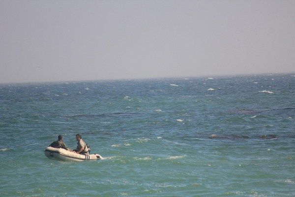 Mega Shark vs Crocosaurus : Fotoğraf