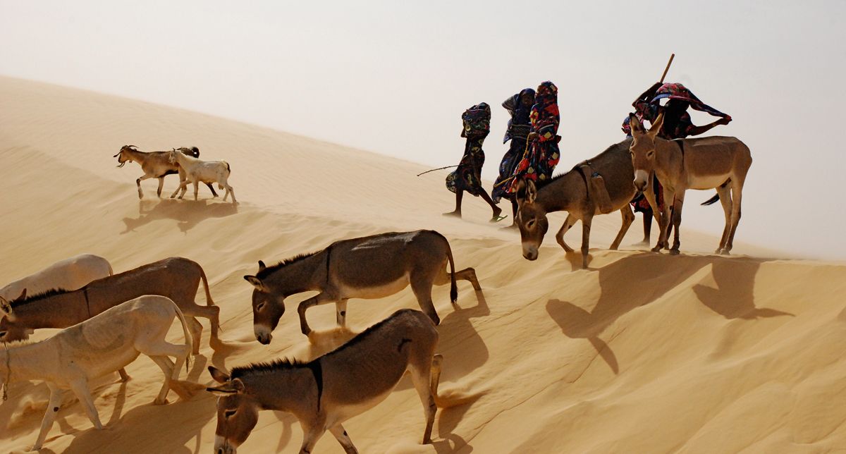 Fotoğraf Nathalie Borgers