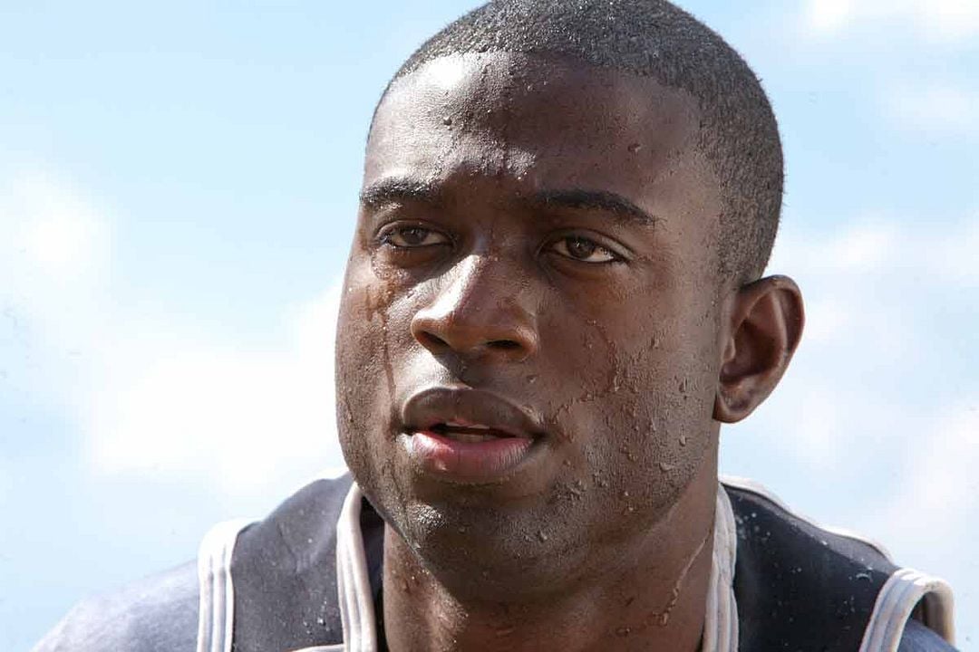 Katil Köpekbalığı : Fotoğraf