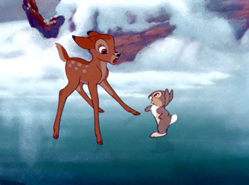 Bambi : Fotoğraf