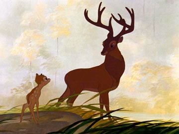 Bambi : Fotoğraf