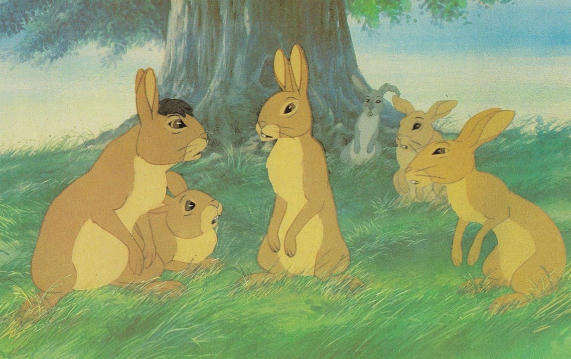 Watership Down : Fotoğraf