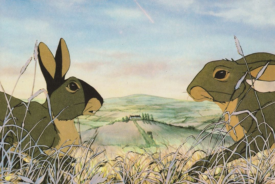 Watership Down : Fotoğraf