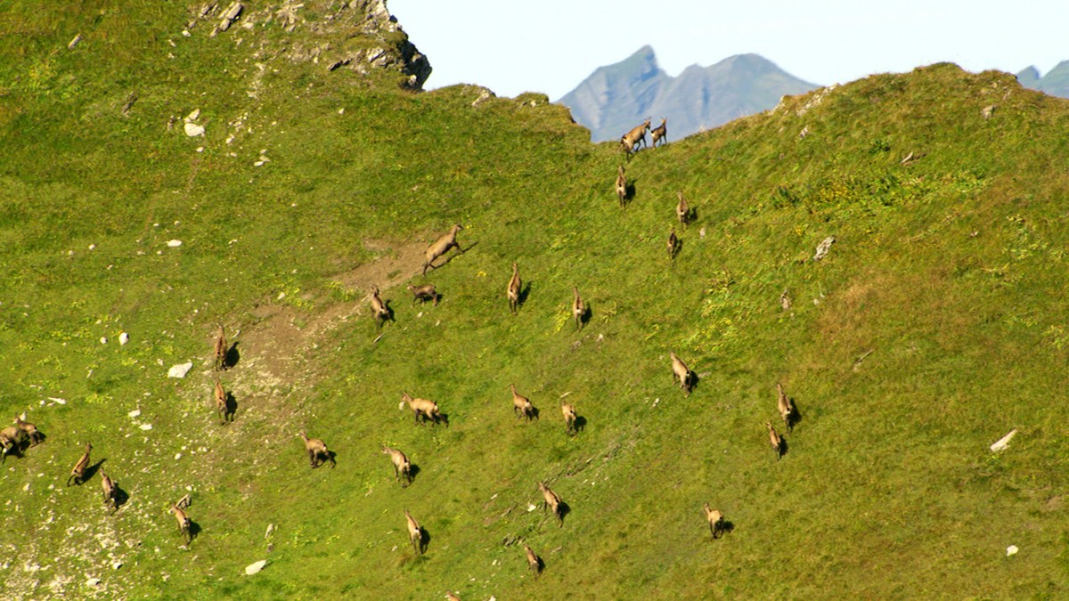 Deutschland von oben : Fotoğraf