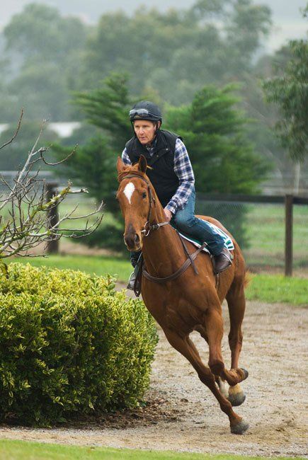 Fotoğraf Stephen Curry