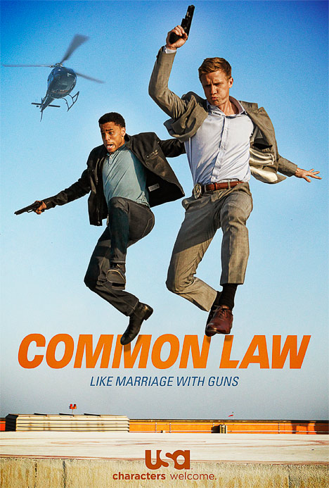 Common Law : Afiş
