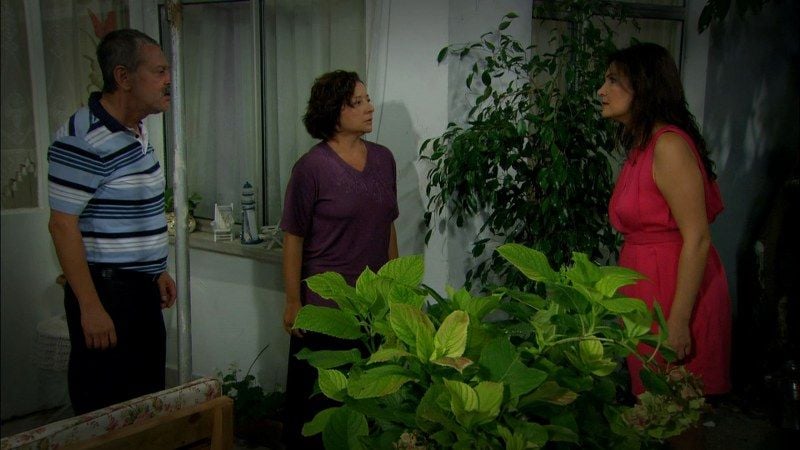 Sudan Bıkmış Balıklar : Fotoğraf