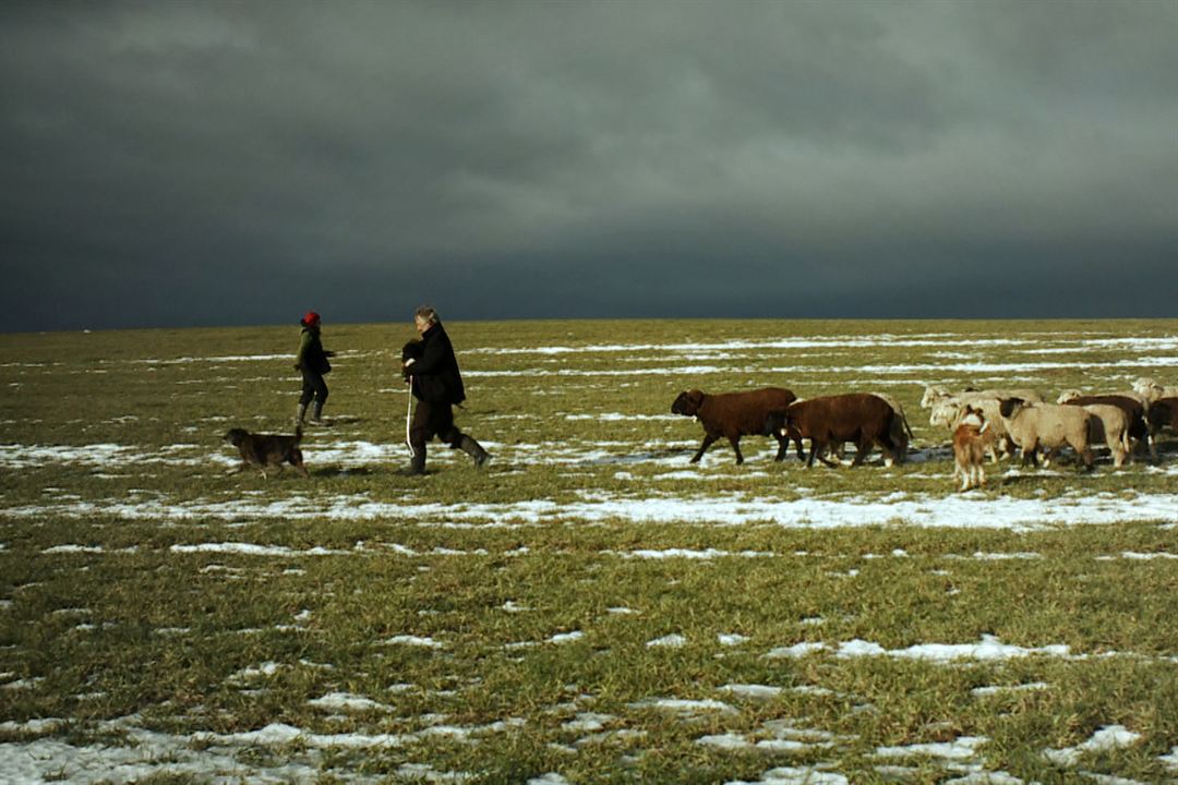 Hiver nomade : Fotoğraf