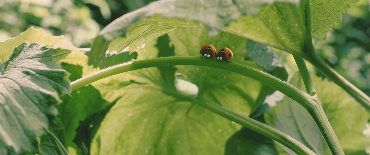 Kayıp Karıncalar Vadisi : Fotoğraf