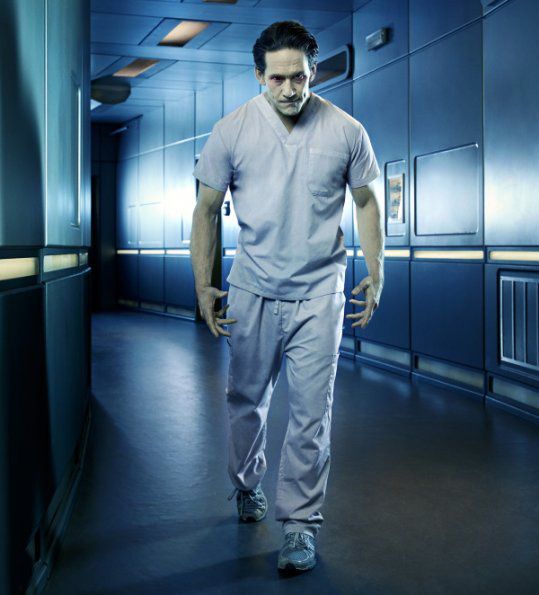 Fotoğraf Neil Napier