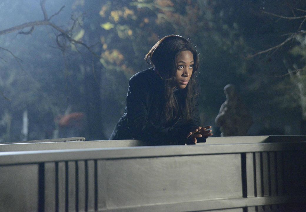 Fotoğraf Nicole Beharie