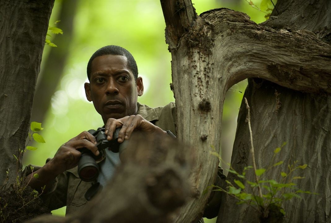 Fotoğraf Orlando Jones