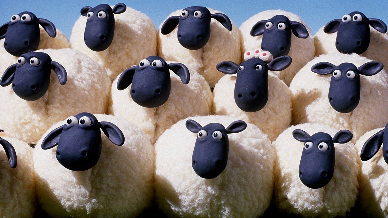 Shaun the Sheep : Fotoğraf