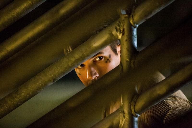 Star-Crossed : Fotoğraf Matt Lanter