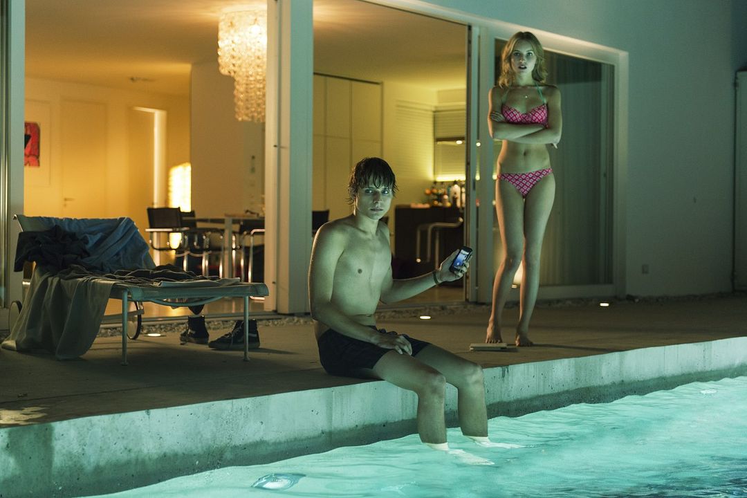 Fotoğraf Merlin Rose