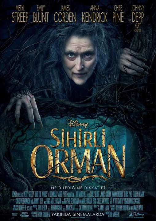 Sihirli Orman : Afiş