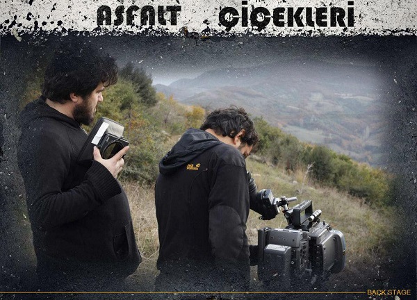 Asfalt Çiçekleri : Fotoğraf