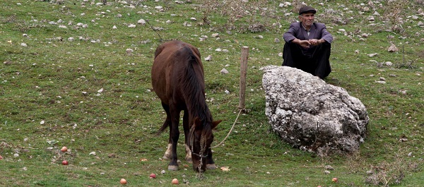 Asfalt Çiçekleri : Fotoğraf