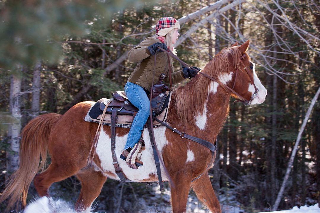 Fotoğraf MacKenzie Porter