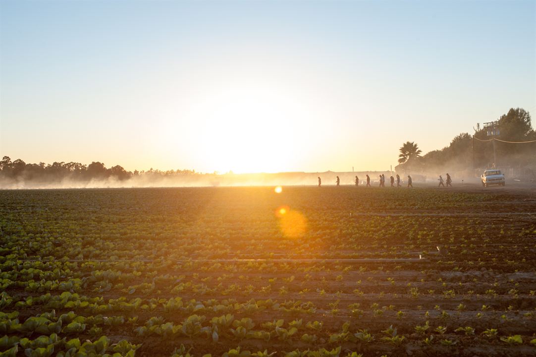 McFarland, USA : Fotoğraf