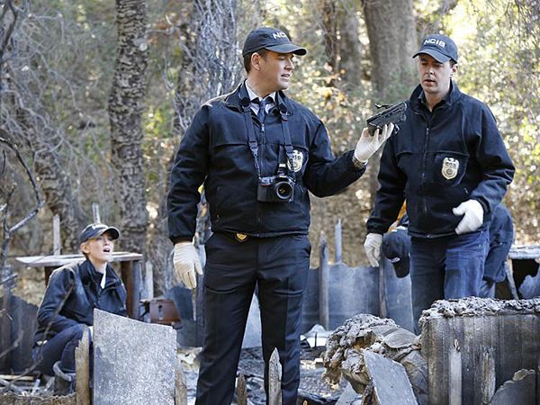Fotoğraf Emily Wickersham, Michael Weatherly