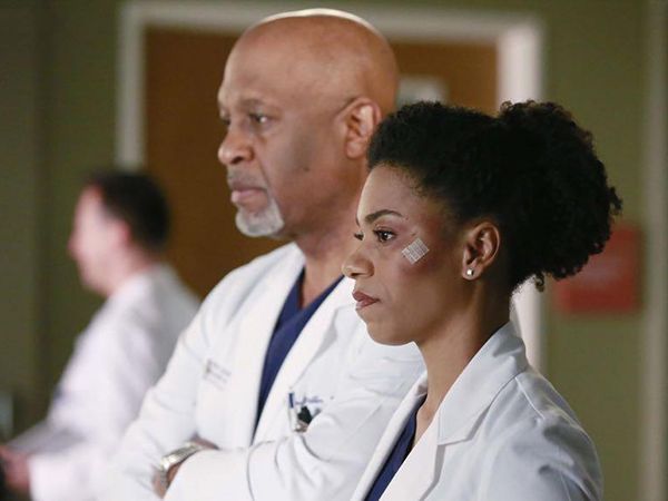 Grey's Anatomy : Fotoğraf James Pickens Jr., Kelly McCreary