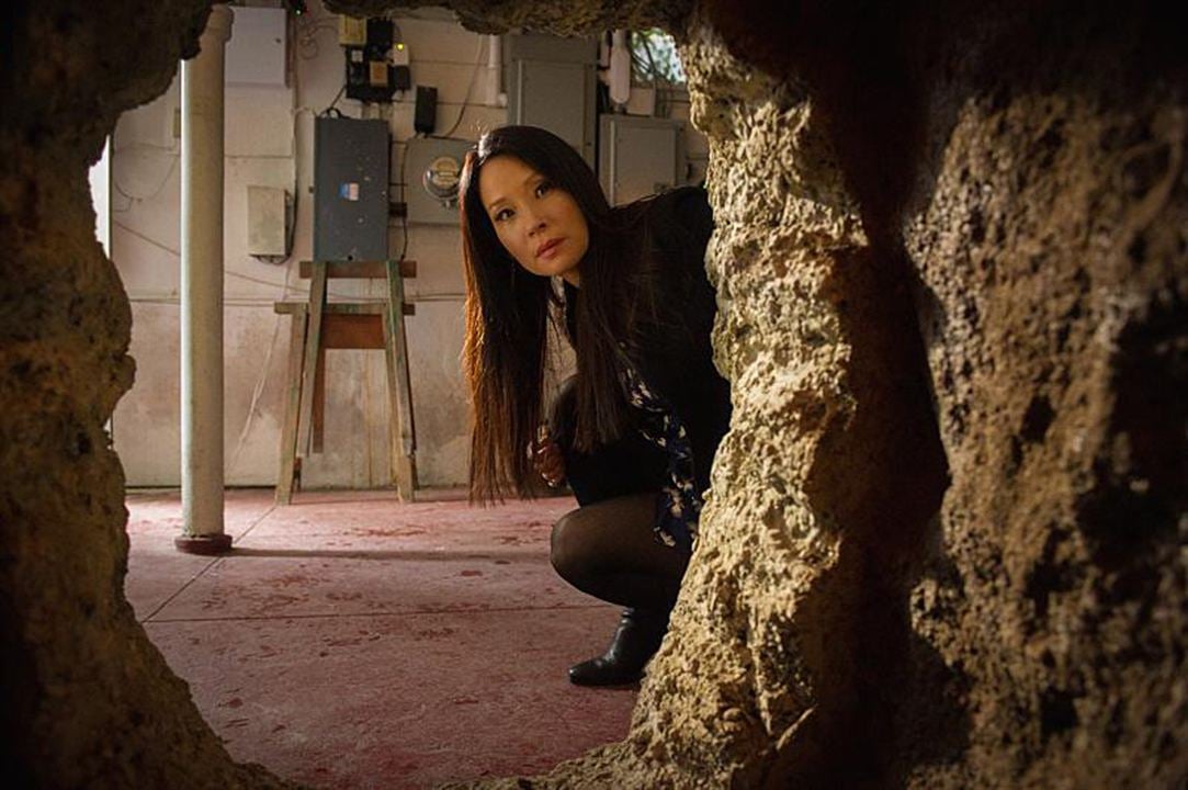 Elementary : Fotoğraf Lucy Liu