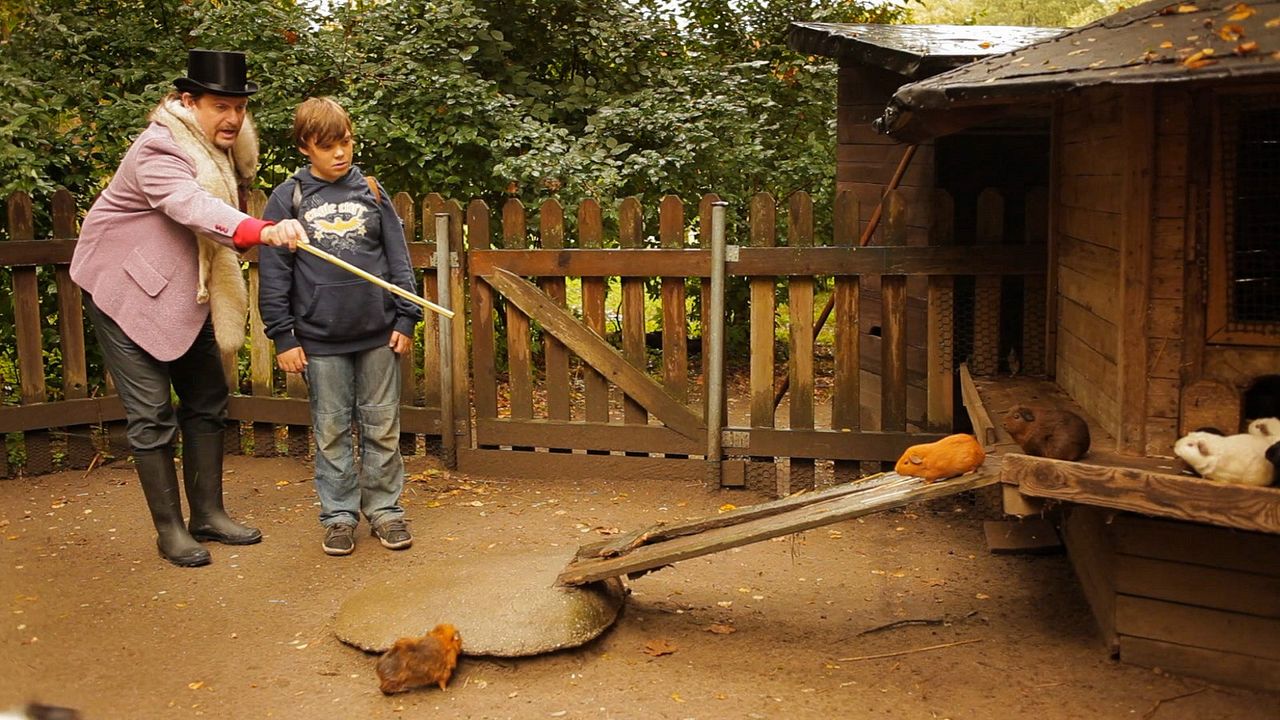 Fotoğraf Peter Trabner