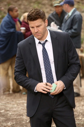 Bones : Fotoğraf David Boreanaz