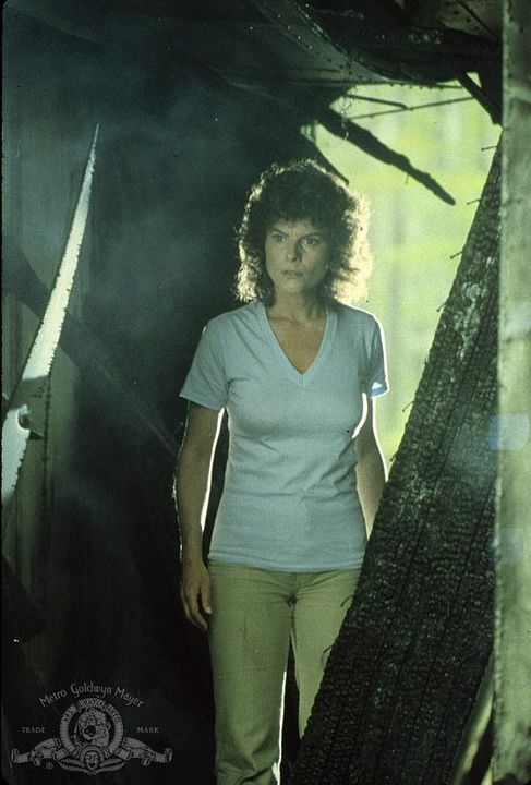 Swamp Thing : Fotoğraf