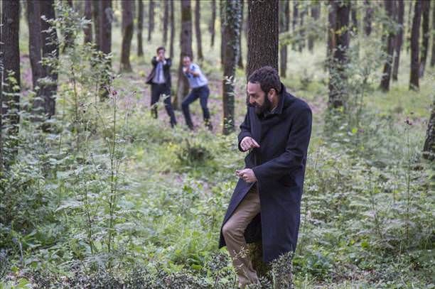 Kertenkele : Fotoğraf