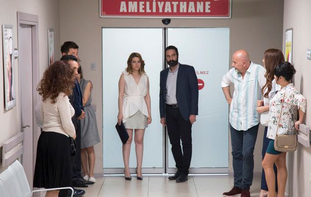 Kertenkele : Fotoğraf