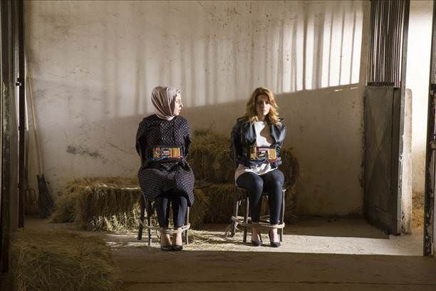 Kertenkele : Fotoğraf