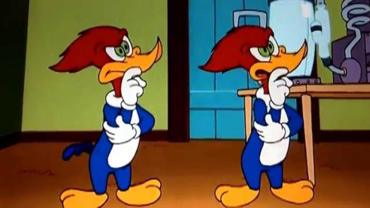 The Woody Woodpecker Show : Fotoğraf