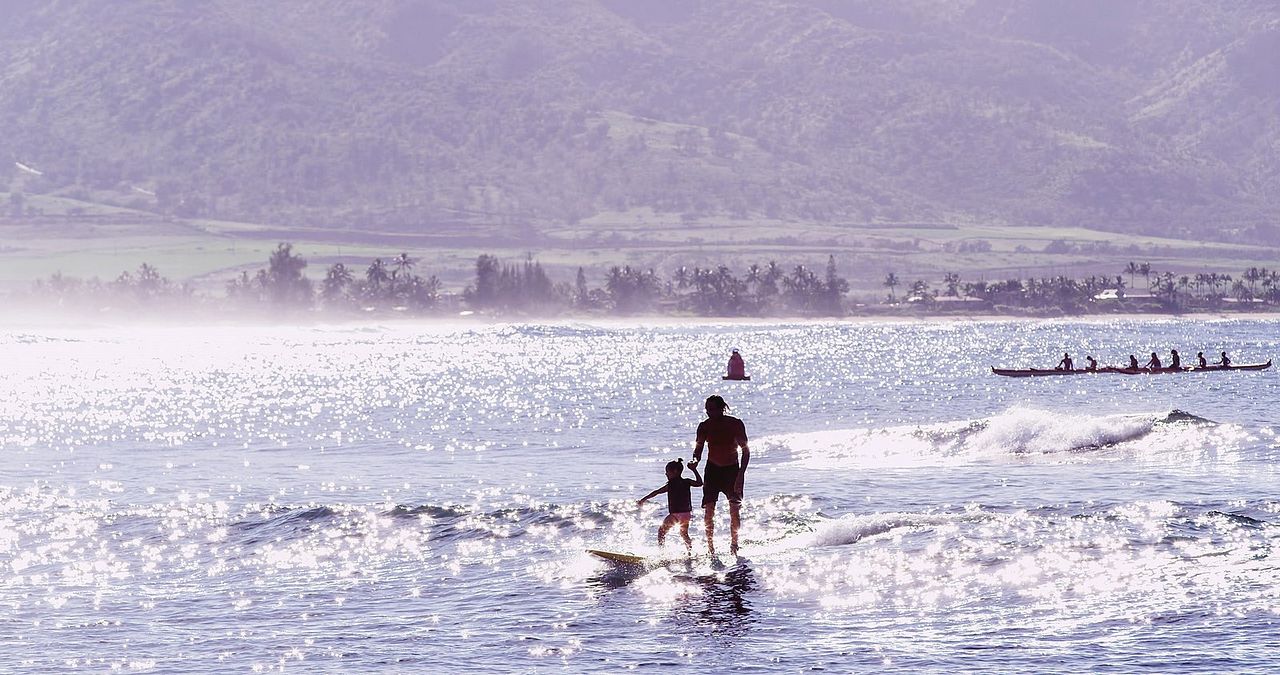 Özgürlük Arayışı : Fotoğraf