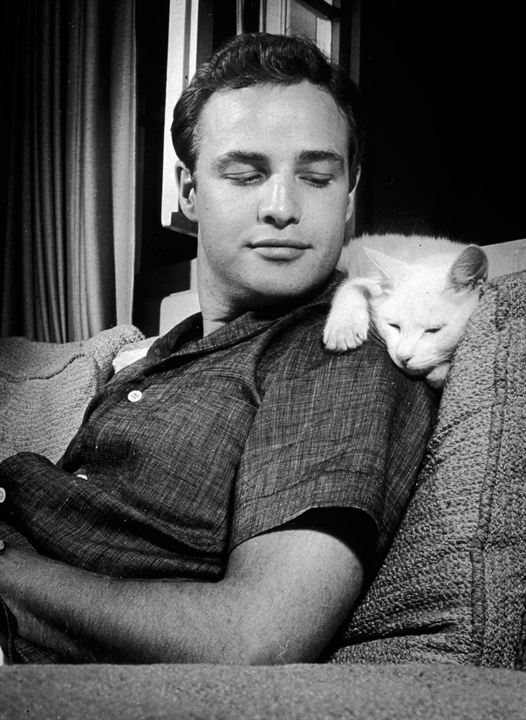 Listen to Me Marlon : Fotoğraf Marlon Brando