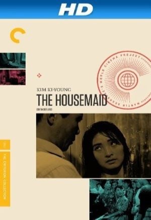 The Housemaid : Afiş