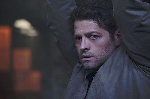 Fotoğraf Misha Collins