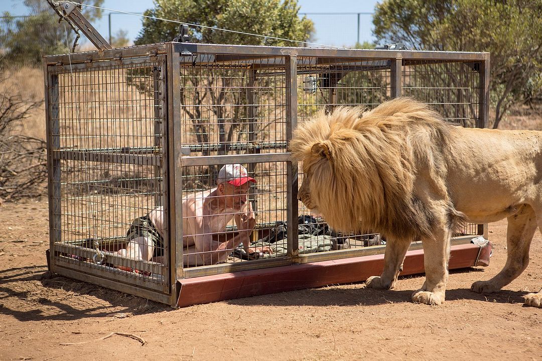 Fotoğraf Michael Gross