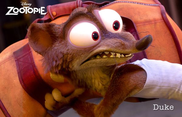 Zootropolis: Hayvanlar Şehri : Fotoğraf