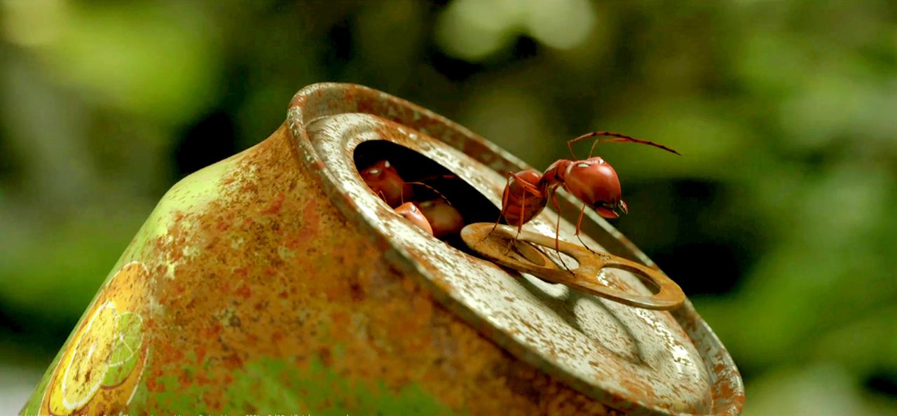 Kayıp Karıncalar Vadisi : Fotoğraf
