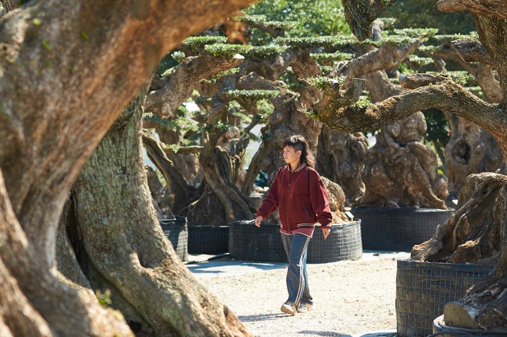 El Olivo : Fotoğraf Anna Castillo