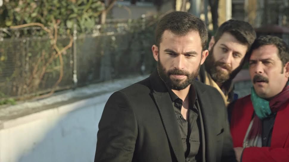 Kertenkele : Fotoğraf