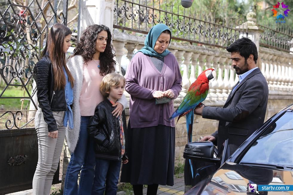 Göç Zamanı : Fotoğraf